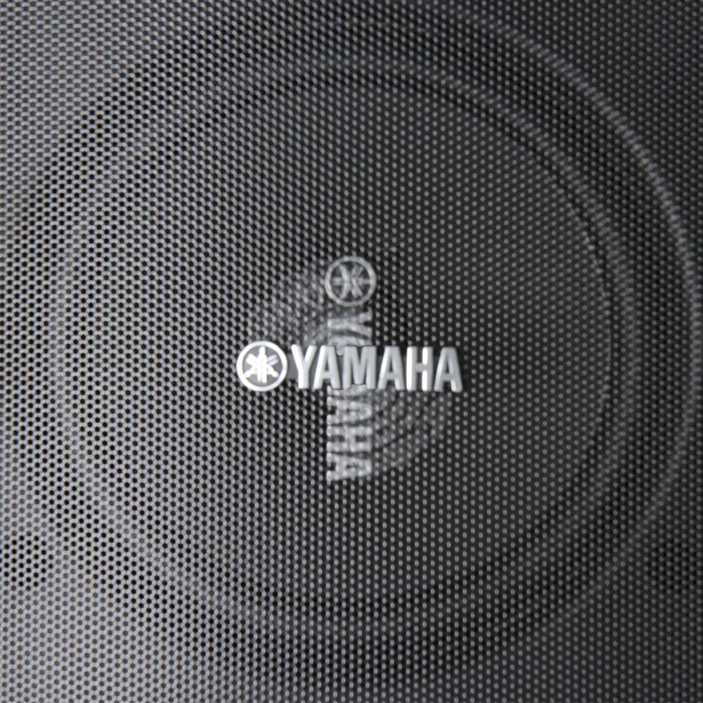 YAMAHA NS-AW194BL High-Performance All-Weather Speakers, Black