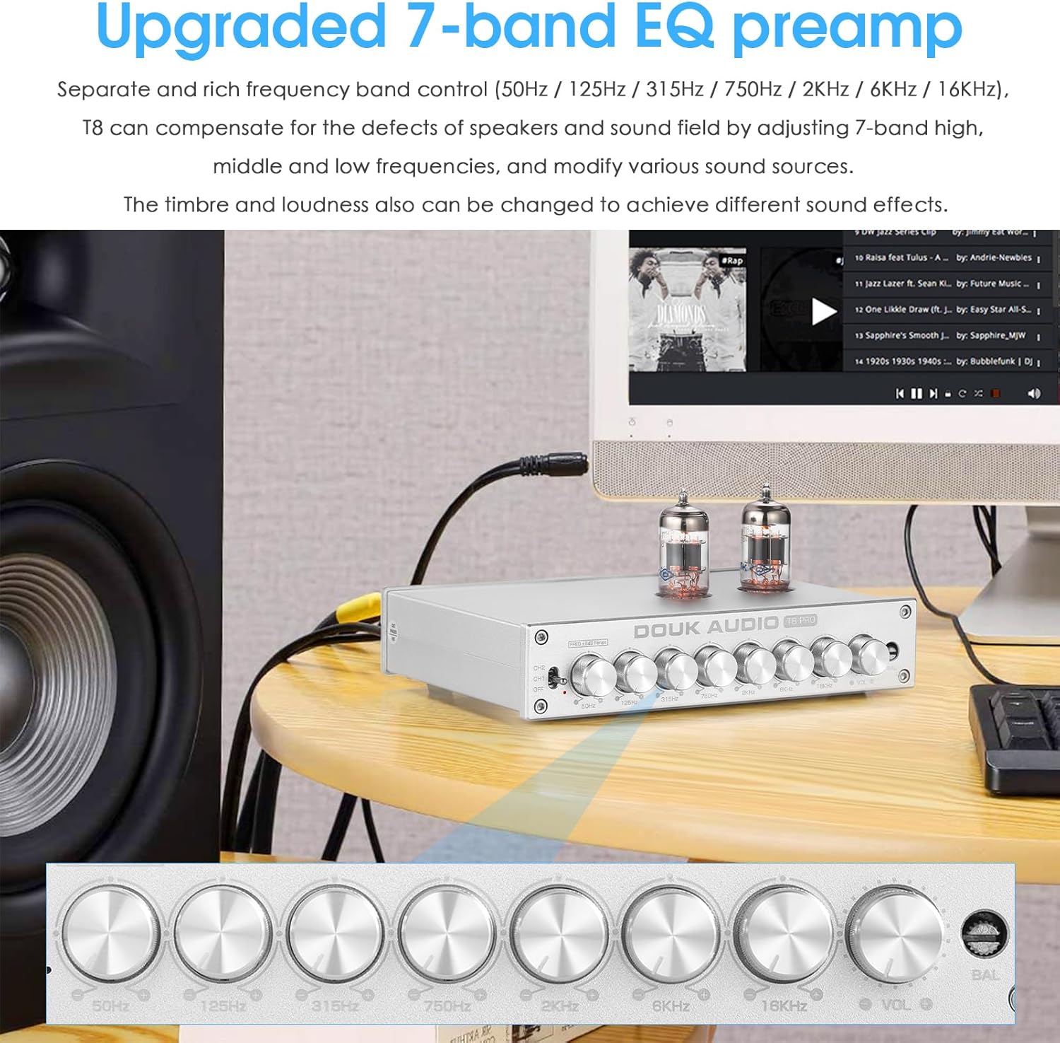 Douk Audio Balanced EQ Preamp: 7-Band Equalizer - Vacuum Tube Preamplifier with XLR RCA Inputs & Outputs - for Home Stereo HiFi System, Amplifiers, Active Speakers (T8 PRO Silver)