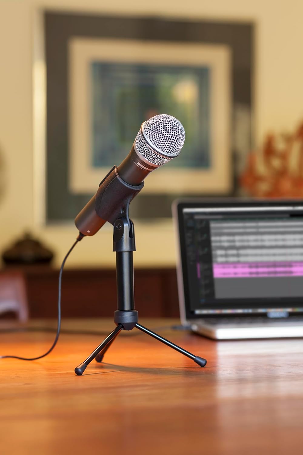 SAMSON Q2U Dynamic USB/XLR Microphone