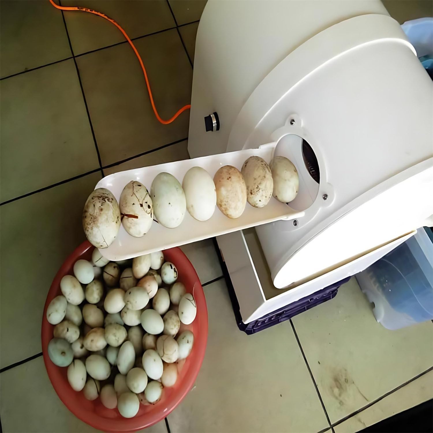 Automatic Egg Washer, Commercial Egg Cleaner System, 2,300 Eggs/H Chicken Duck Goose Egg Brushing Machine, Compact Egg Cleaning Brush Machine Tool