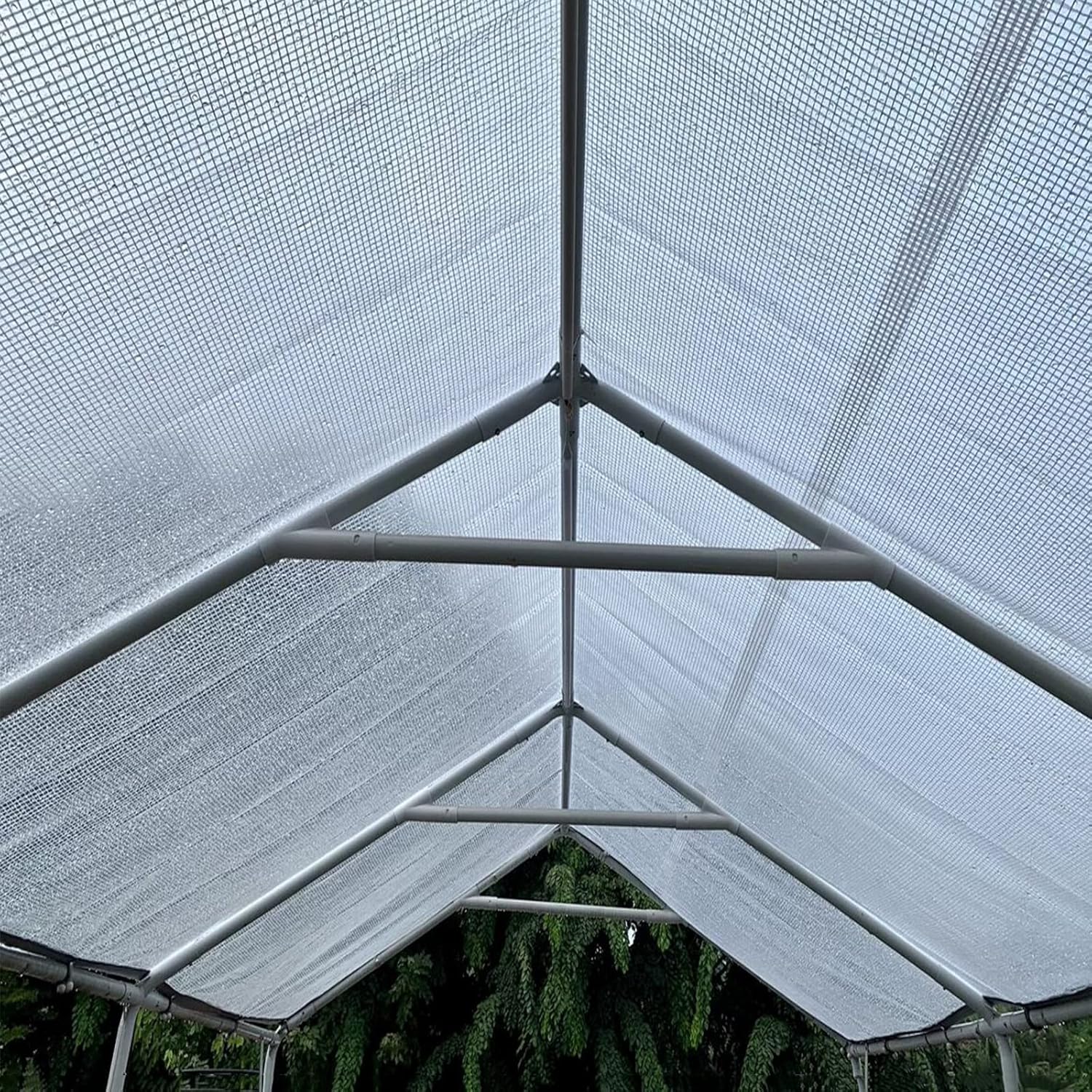 Tarpaulin, Tarps Heavy Duty Waterproof with Grommets Multi Purpose Tarp Nursery Greenhouse Garden Outdoor Patio Rain Shelter,5x6m