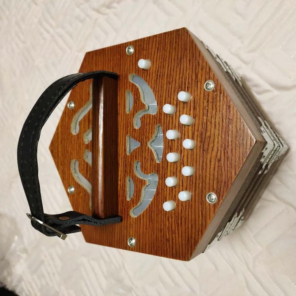 Professional 20 Buttons Piano Accordion Concertina Musical Instrument, Gift for Children and Friends