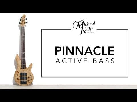 Michael Kelly Pinnacle 5 5-String Bass Guitar
