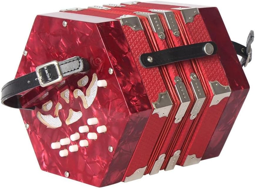 Hexagon Accordion with Carrying Bag, 20-Button Concertina for Adults Kids, Professional Playing Keyboard Music Instruments