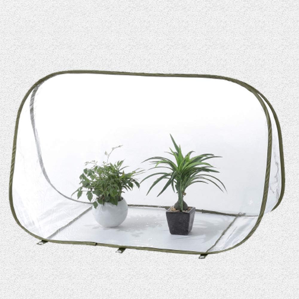 Portable Greenhouse Kit with Side Windows, PE Cover | No Assembly Required | Foldable Outdoor Greenhouse for Garden, Indoor & Outside Use