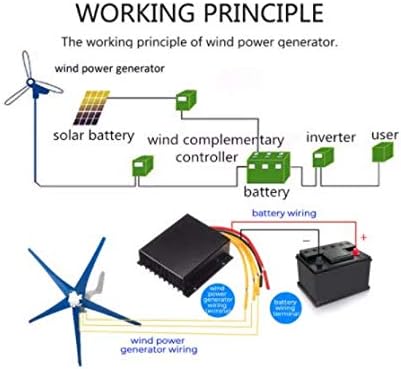 8000W Wind Turbines Generator 12V/24V 5 Blades Horizontal Wind Generator with Controller Windmill Energy Turbines Charge,12v