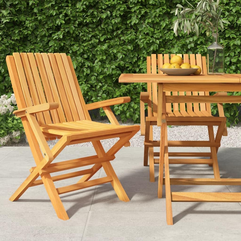 Folding Patio Chairs 2 pcs 24