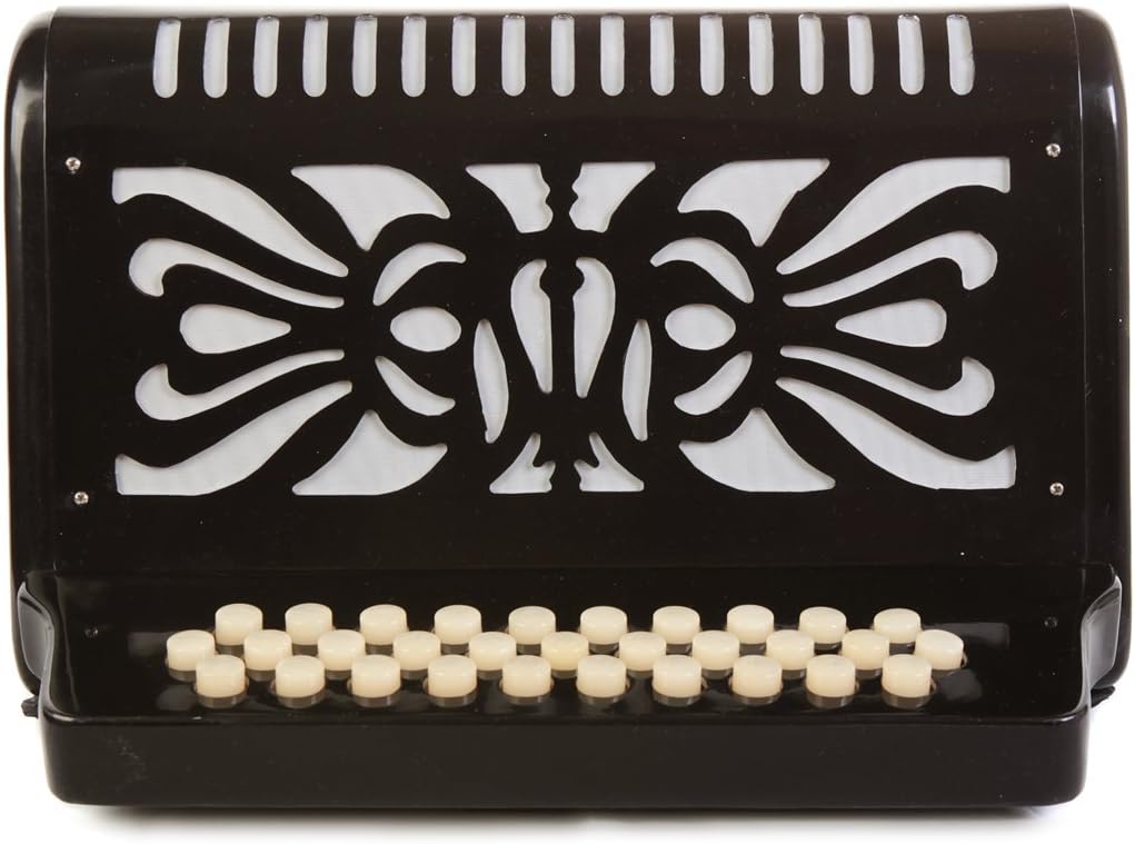 Rossetti, 31-Key Accordion (ROS3112-FBE-BK)