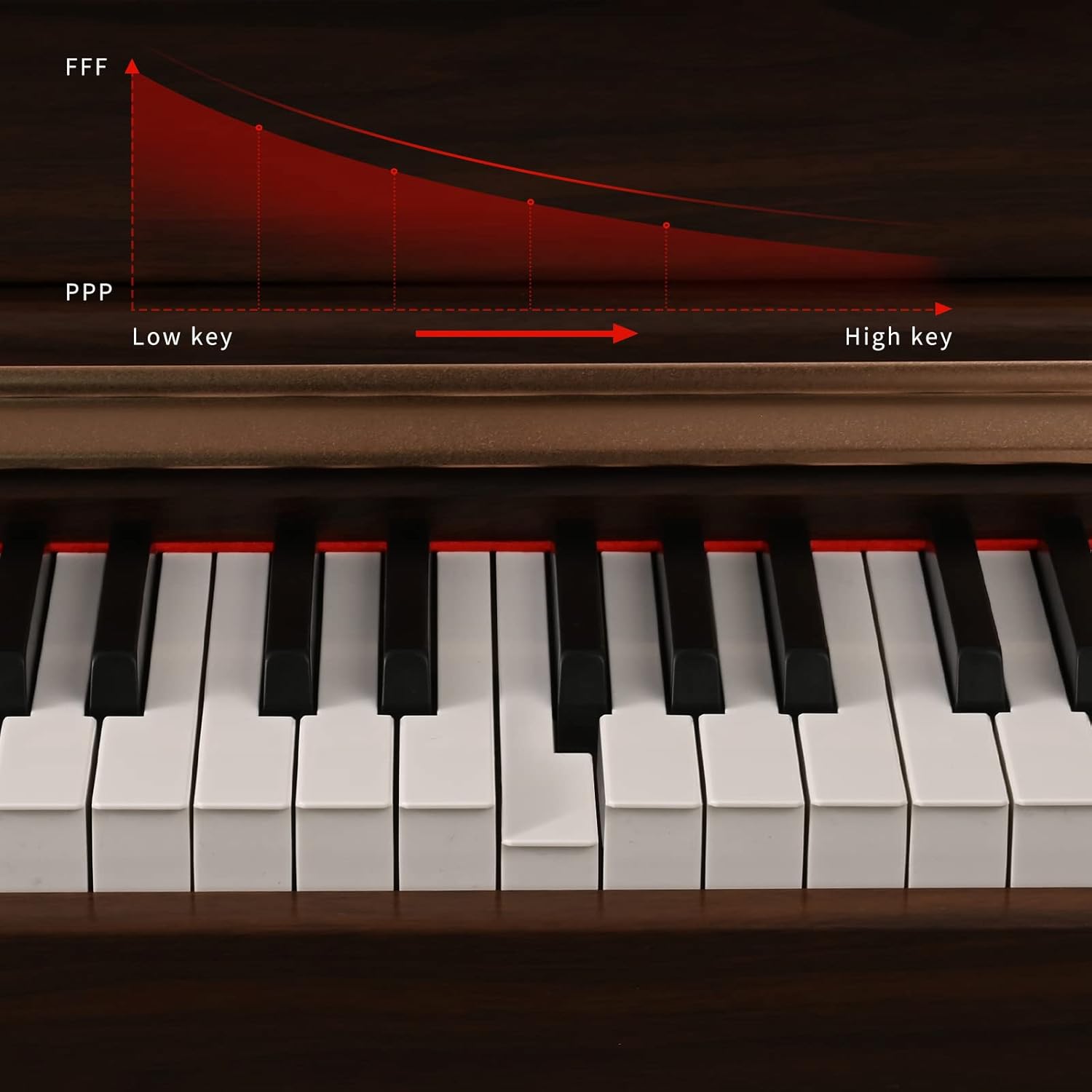 ZHRUNS Digital Piano, 88 Key Full Weighted Keyboard Piano