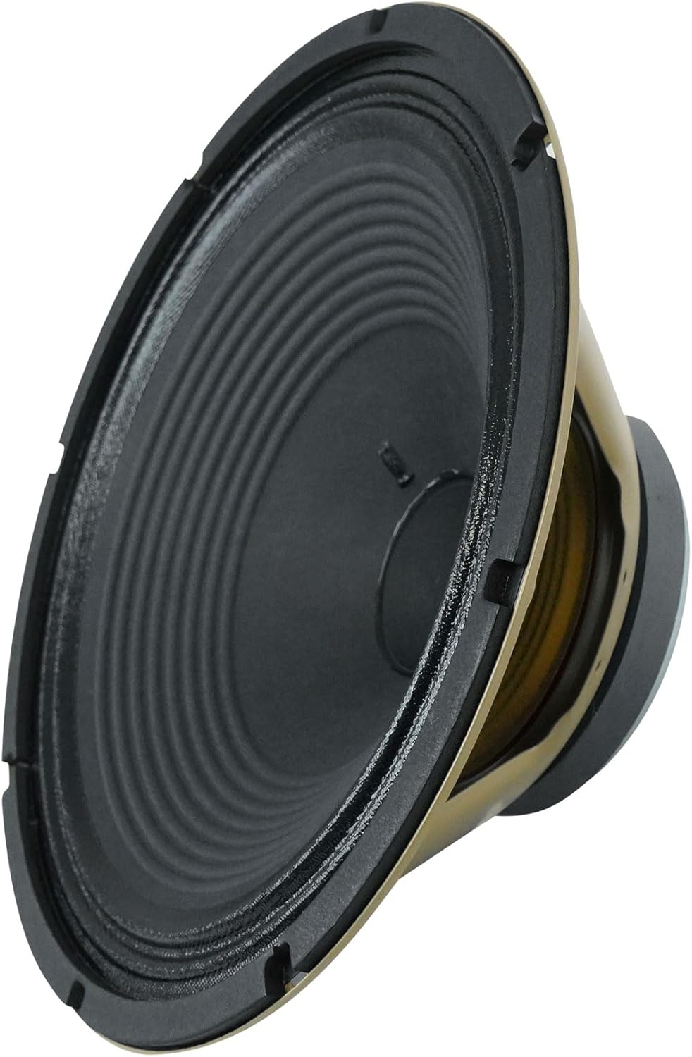 Audiosavings Bundle: (1) Celestion V-Type 12
