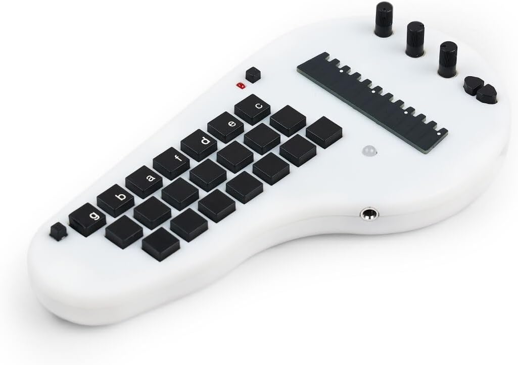 Minichord Synthesizer