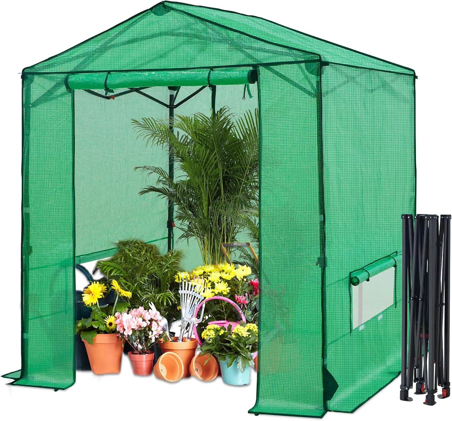 6x6 Pop Up Walk-in Greenhouse, Indoor & Outdoor PE Cover Green House with Power Access Ports, Roll-up Zippered Doors and Windows, Green