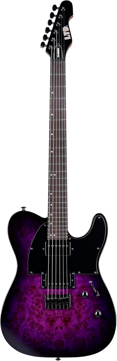 ESP LTD TE200DX Electric Guitar, Purple Burst