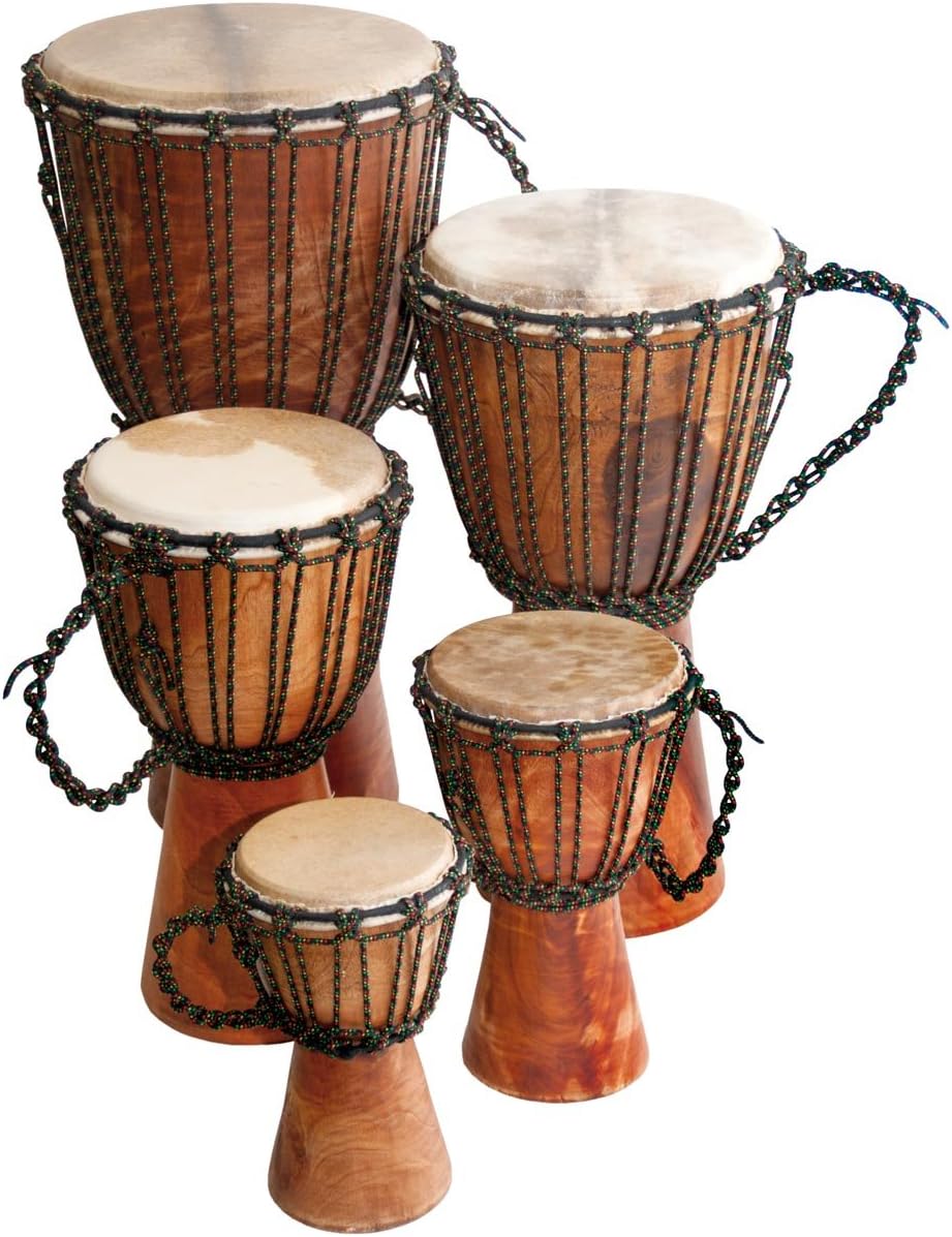Djembe Beginner Plain,12