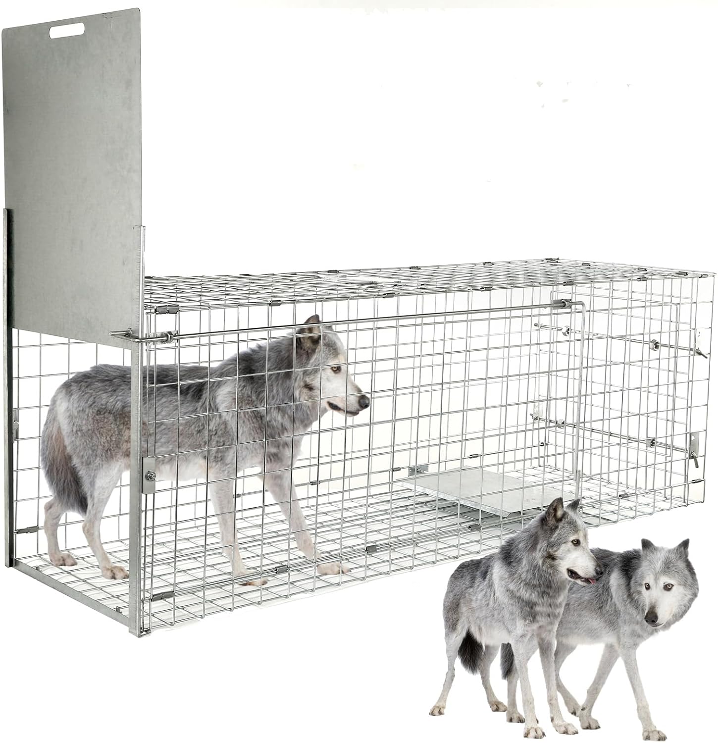 57” Collapsible Large Live Animal Trap, Easy to Set and Release Live Animal Traps for Dogs, Foxes, Coyotes, Bobcats and Other similarly Sized Animals up to 55 lbs