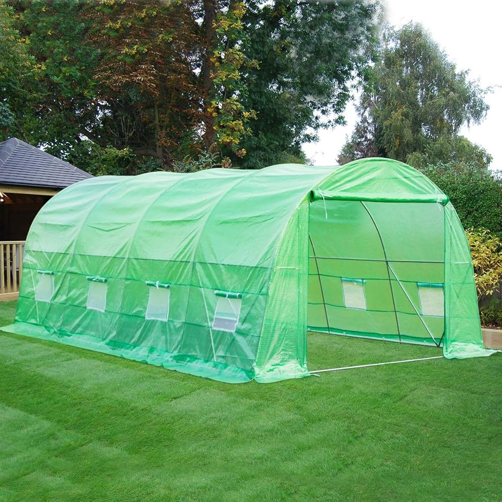 Portable Greenhouse 20' x 10' x 6.6' Large Walk-in Green House for Outdoors Gardening Plant Hot House