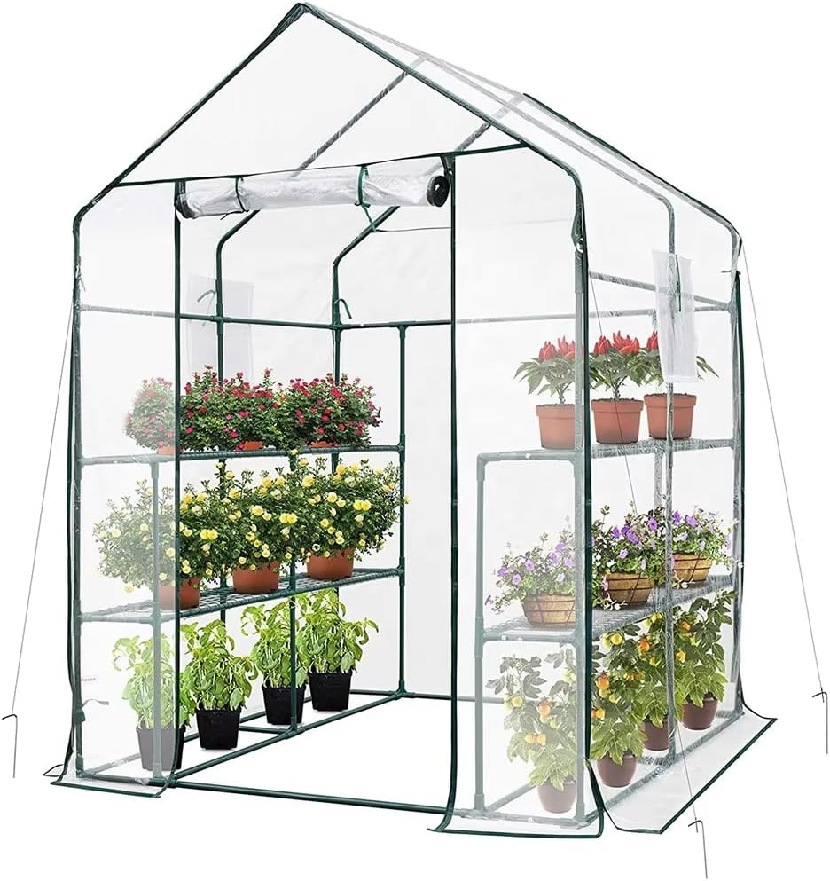 Greenhouse - Walk in Greenhouse with 8 Sturdy Shelves and PVC Cover 56 X 56 X 76-Inch, Portable Greenhouses with Roll-Up Zipper, Outdoor Garden Sun Room, for Indoor or Outdoor Use
