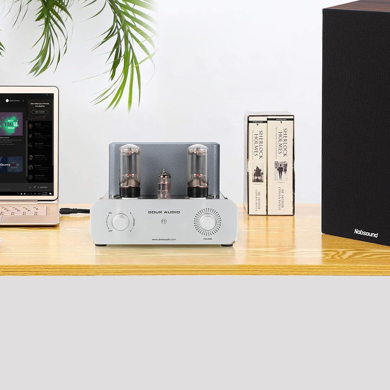 Douk Audio F5 Pure Class A HiFi Vacuum Tube Amplifier - Single-Ended Stereo Amp for Home Audio System with RCA Inputs