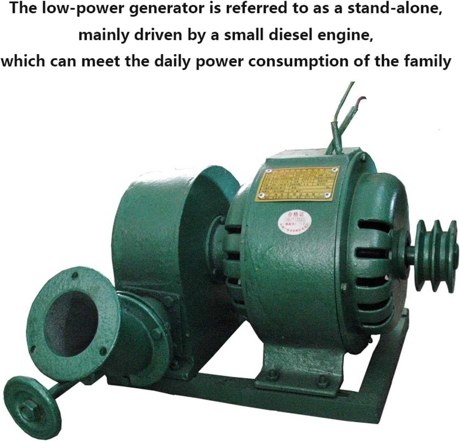 CAJUCA Hydroelectric Power Generator 1KW Water Turbine Generator Water Wheel Generator, Hydro Generator, Micro Hydro Turbine