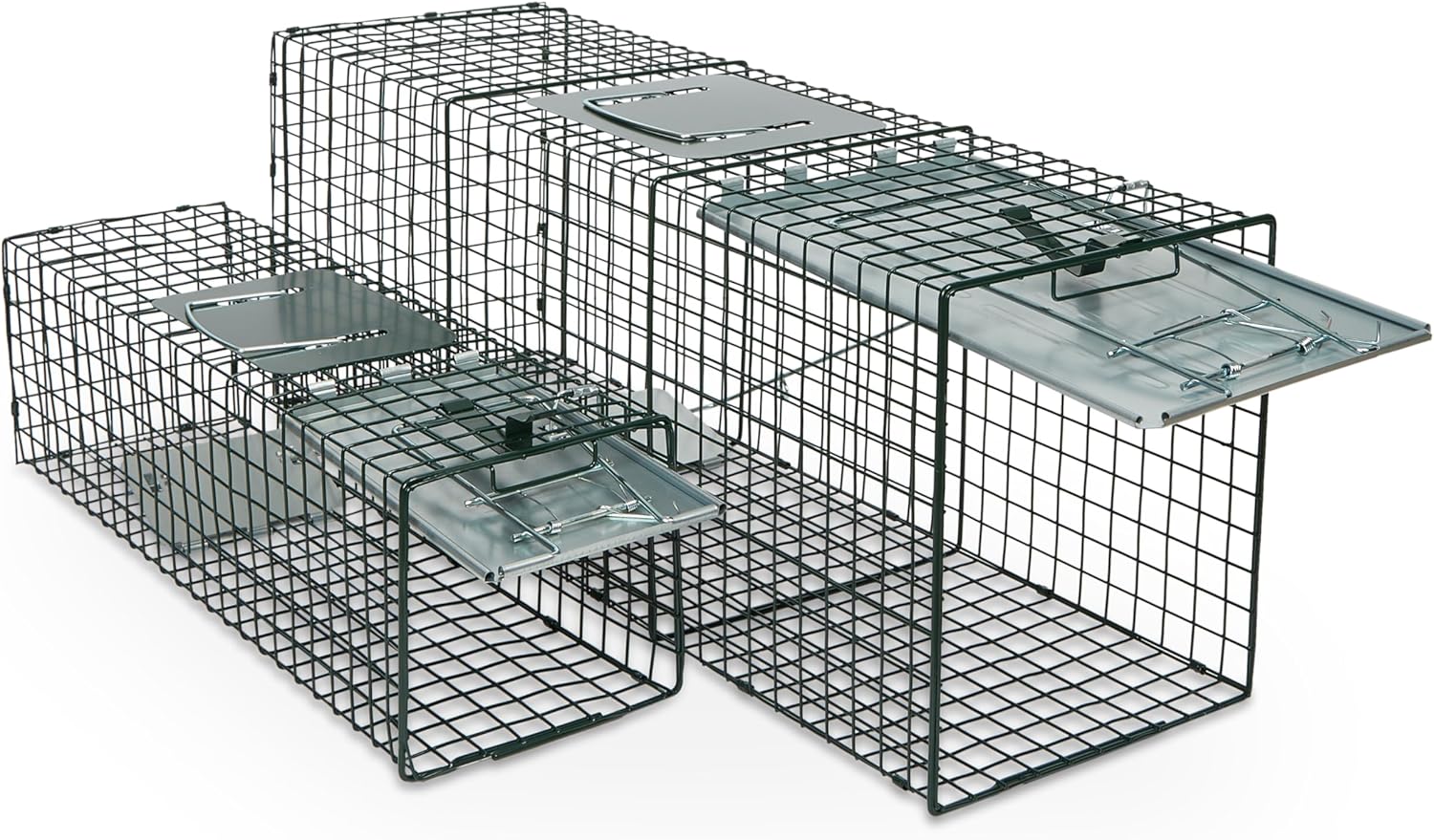 Humane Way Sentinel 32 Inch + 24 Inch Live Animal Trap Combo Pack - No Assembly Required - Raccoons, Cats, Groundhogs, Opossums, Rabbits, Squirrels