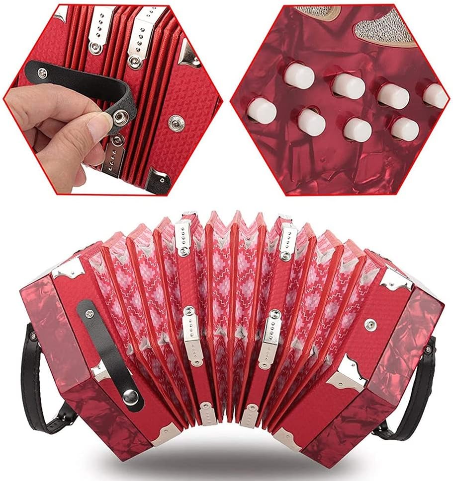20 Keys Accordion Concertina, Easy to Learn Music Accordion Instrument, Educational Musical Instrument, for Amateur Beginner Gift, with Carry Bag