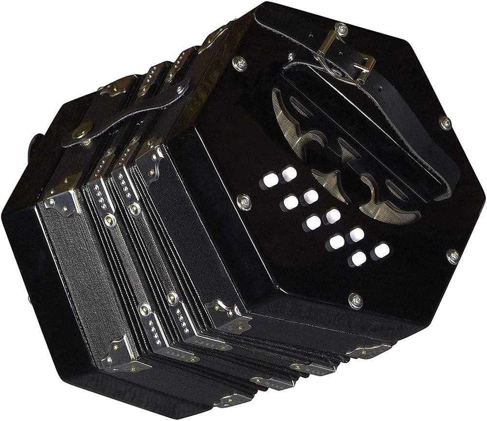 Professional 20 Buttons Concertina, Accordion Piano Musical Instrument, Easy To Learn Music Accordion Instrument, For Children Friends