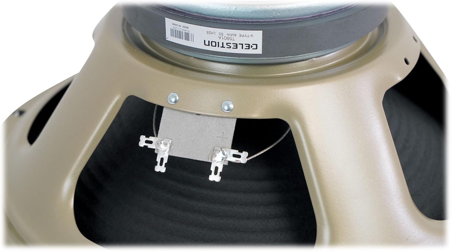 Audiosavings Bundle: (1) Celestion V-Type 12