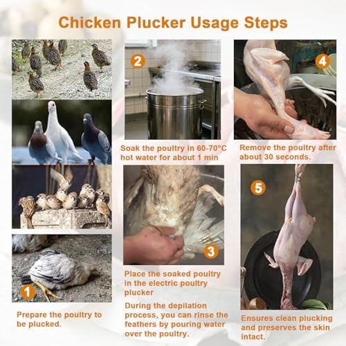 Automatic Chicken Plucker Machine - 360° Fast Rotation Drum, Efficient Stainless Steel Feather Removal for Farmers, Restaurants & Markets - Model 35