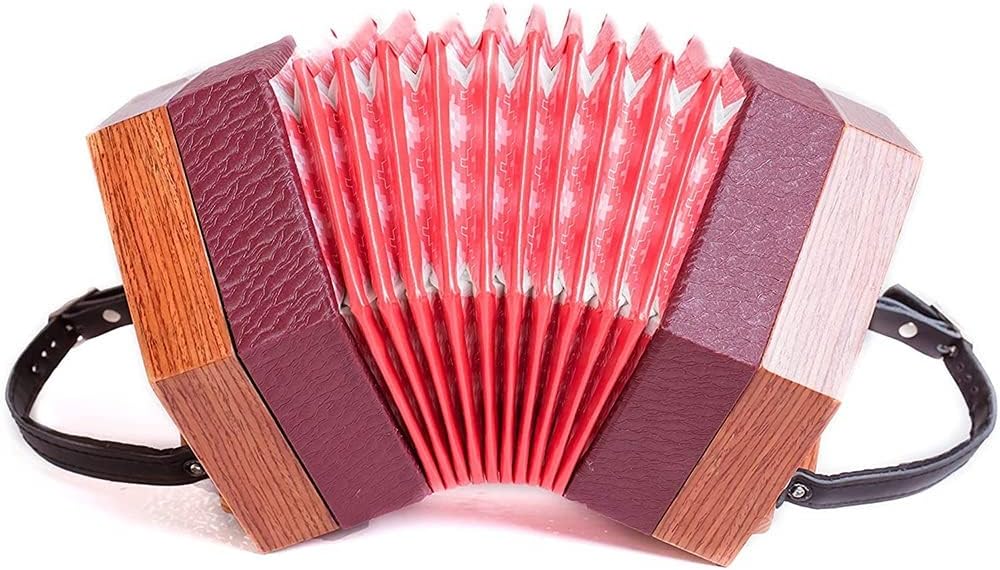 30 Buttons Concertina Accordion, For Adults Kids Beginner Daily Practice Stage Performance, With Carrying Bag, Adjustable Hand Strap