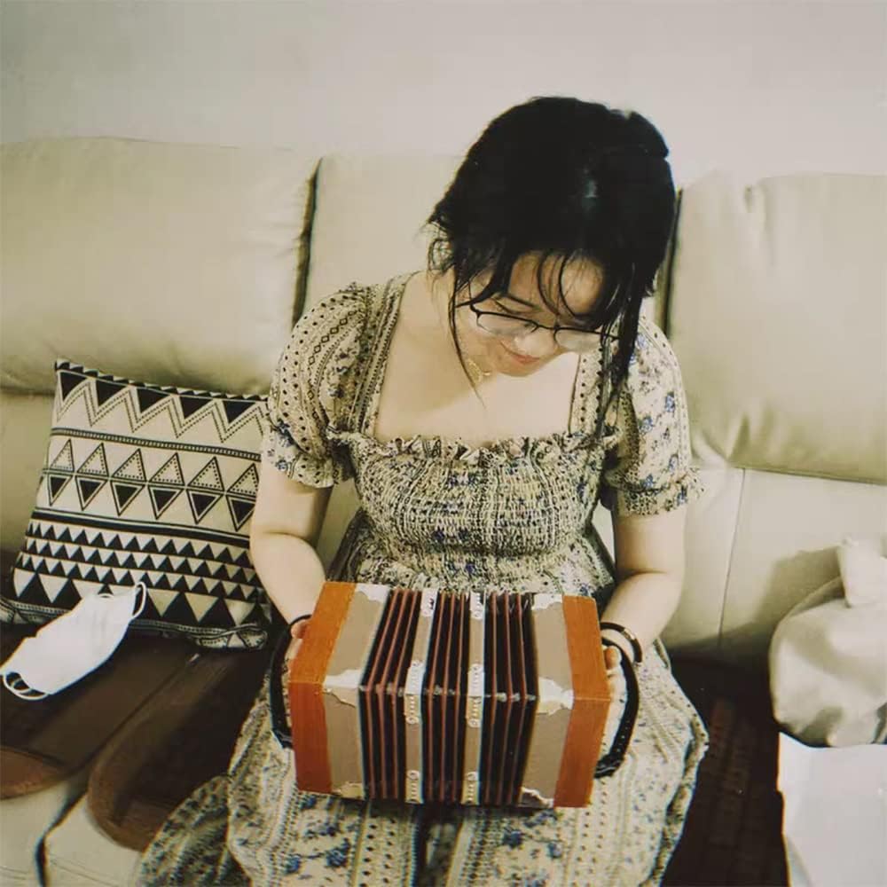 20 Buttons Concertina Accordion, Adjustable Hand Strap And Bag, High-end And Elegant Ergonomic Design, Accordion For Daily Practice Stage Performance
