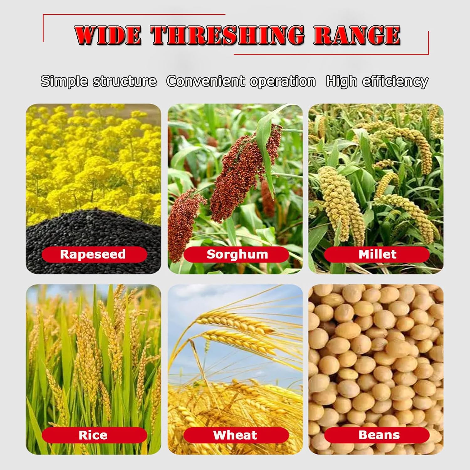 Rice and Wheat Thresher Machine with Blower Grain Huller Peeler for Rice, Beans, Barley, Soybean,Sorghum 220V 2.2KW 300-600kg/h