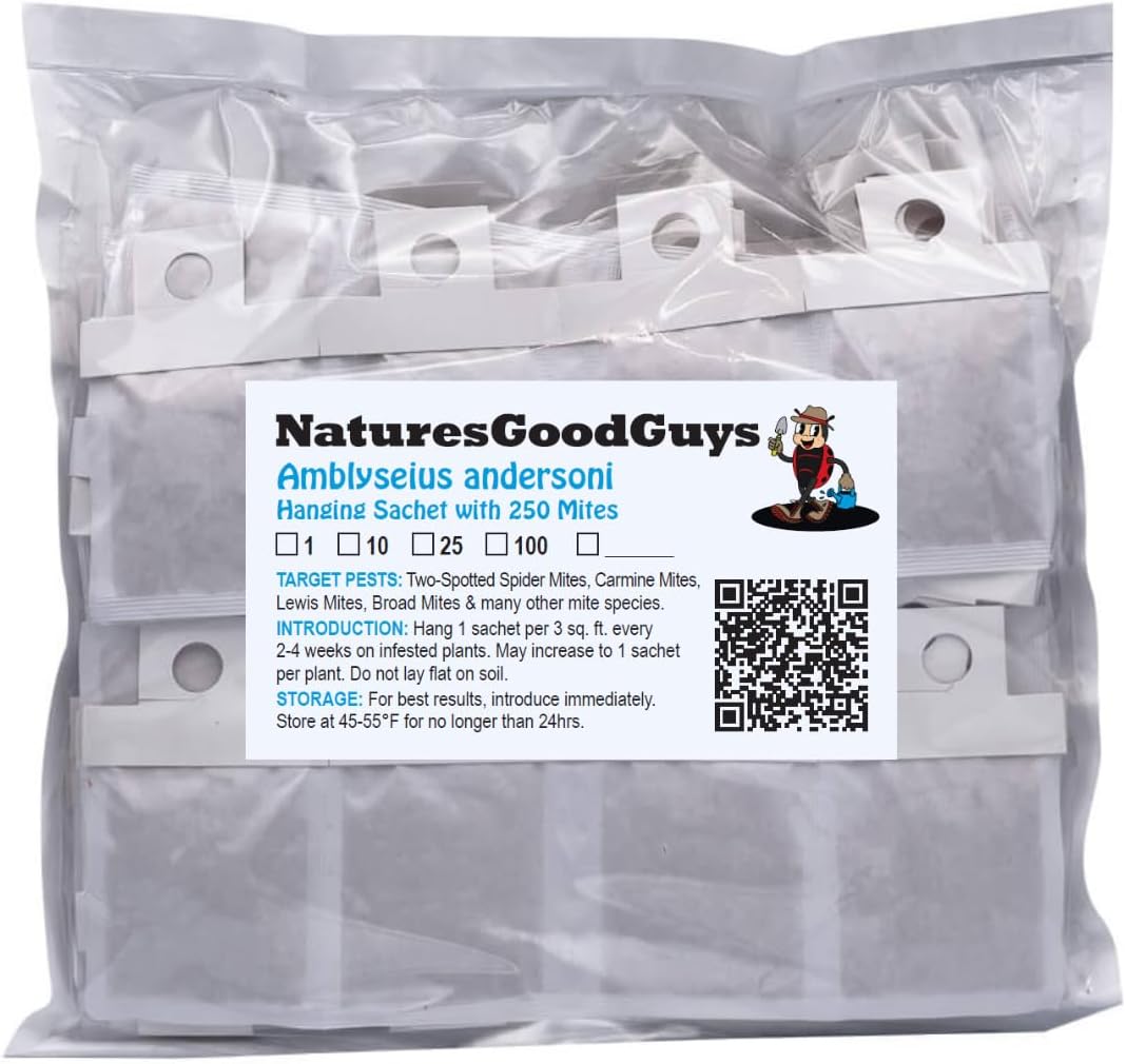 Amblyseius andersoni (25,000 in Hanging Sachets) - 100 Slow Release sachets