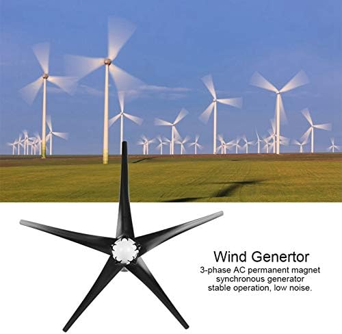 Hilitand 800W Windmill Generator 5 Blade Small Wind Turbines Kit Industrial Energy Equipment (Black 24V)