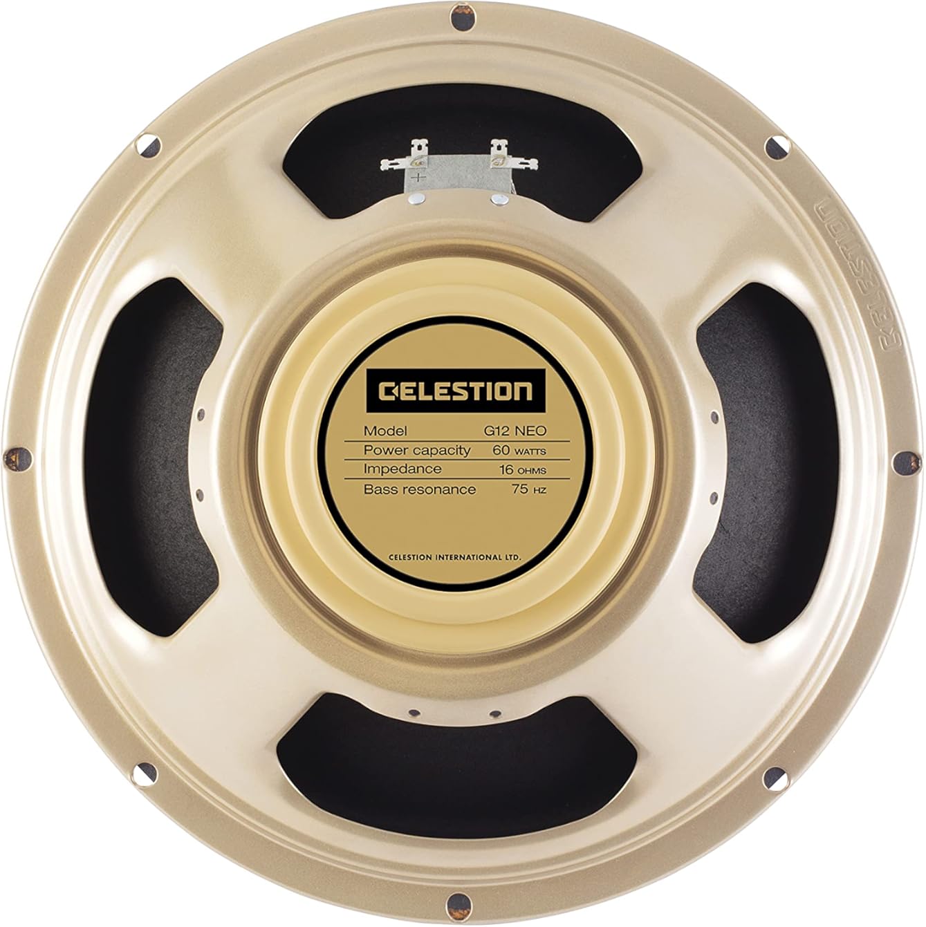CELESTION G12 Neo Creamback 16 ohm Guitar Speaker