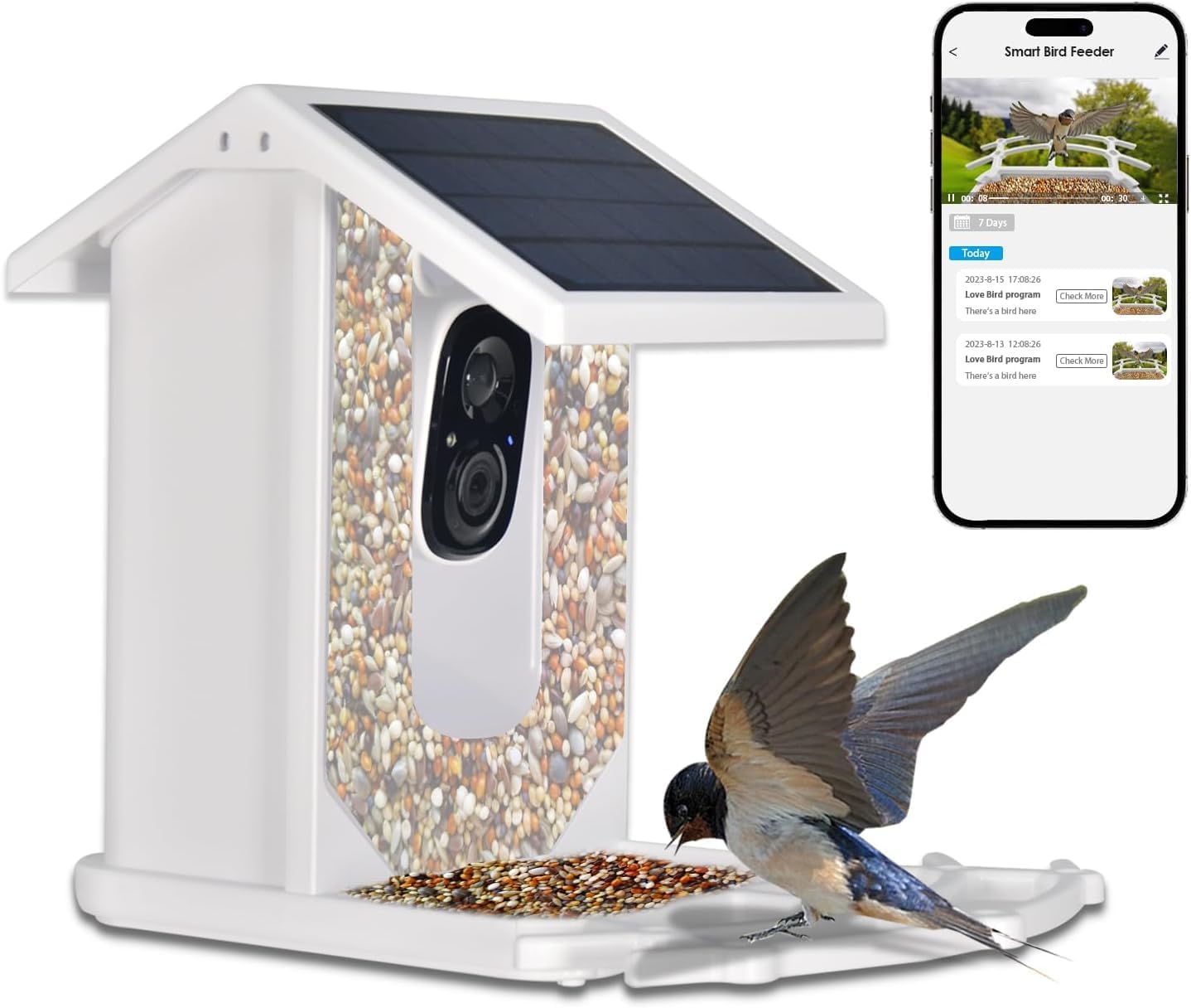 AIMOEST Smart Feeder with Camera, Outdoor Feeding House 2.5L Waterproof, Solar-Powered, HD Watching Cam with AI Identity, Instant Arrival Alert, Squirrel Proof