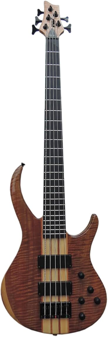 IYV IBSY-500 Neck-through Sycamore top Multi-ply 5-string Bass