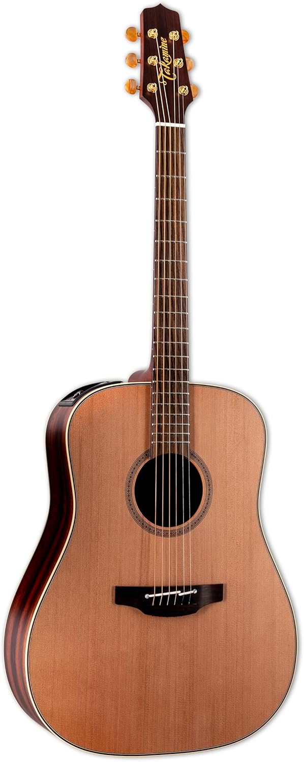 Takamine FN15AR Acoustic-electric Guitar - Natural