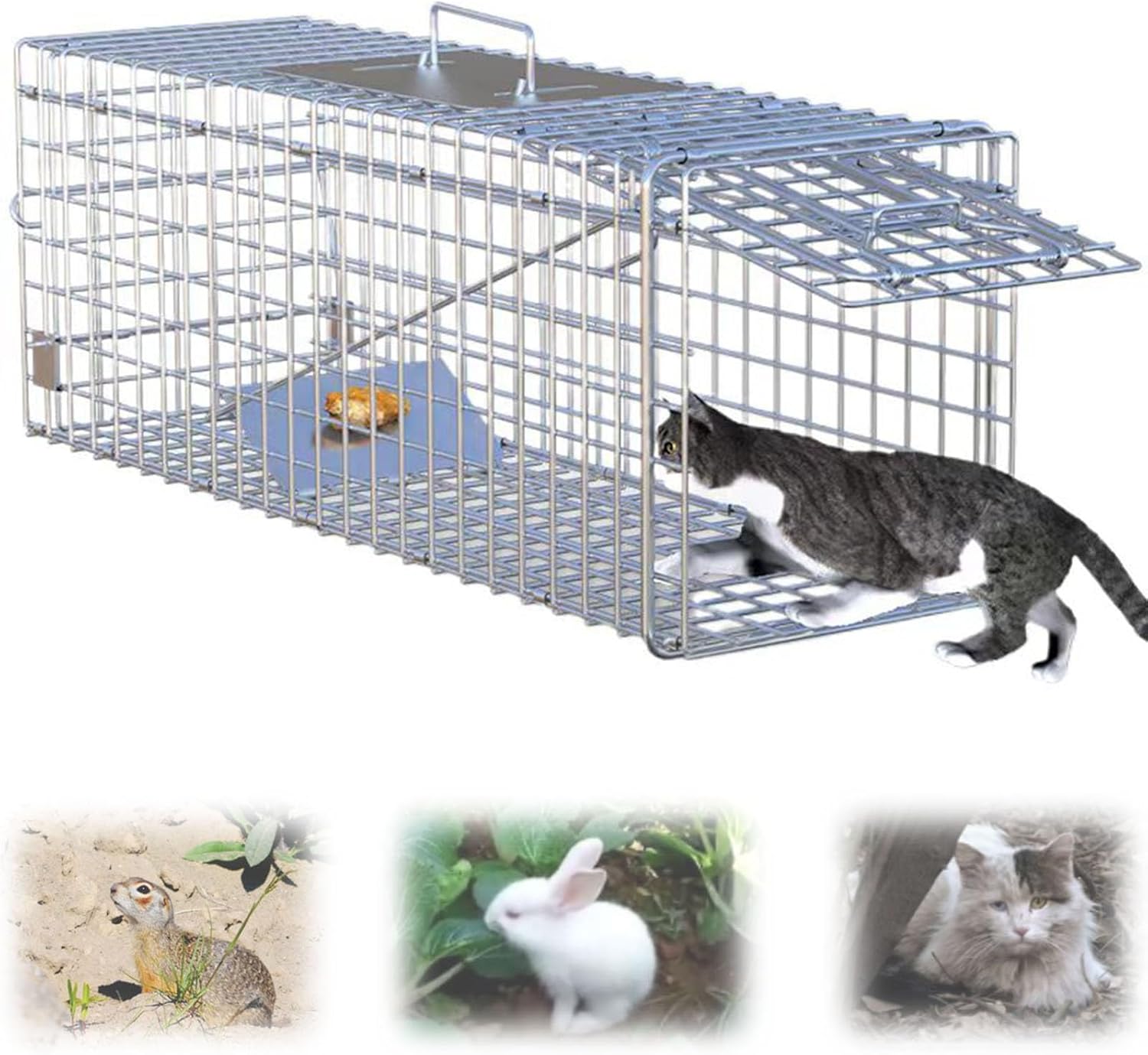 Folding Animal Trap Cage Large, Live Humane Cat Trap for Stray Cats Rodent Catching Cage for Raccoon, Groundhog, Squirrel, Skunk(61x18x21cm)