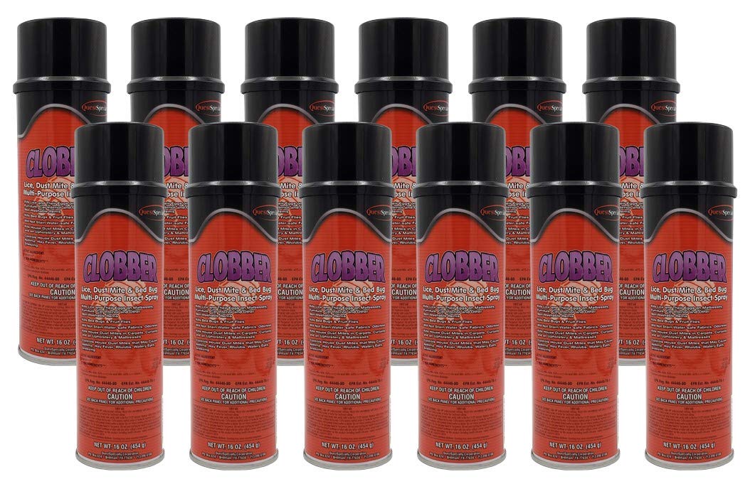 Quest Specialty CLOBBER Lice, Dust Mite & Bed Bug Multi-Purpose Insect Spray, Case of 12 (20 oz) Cans, Red (4570)