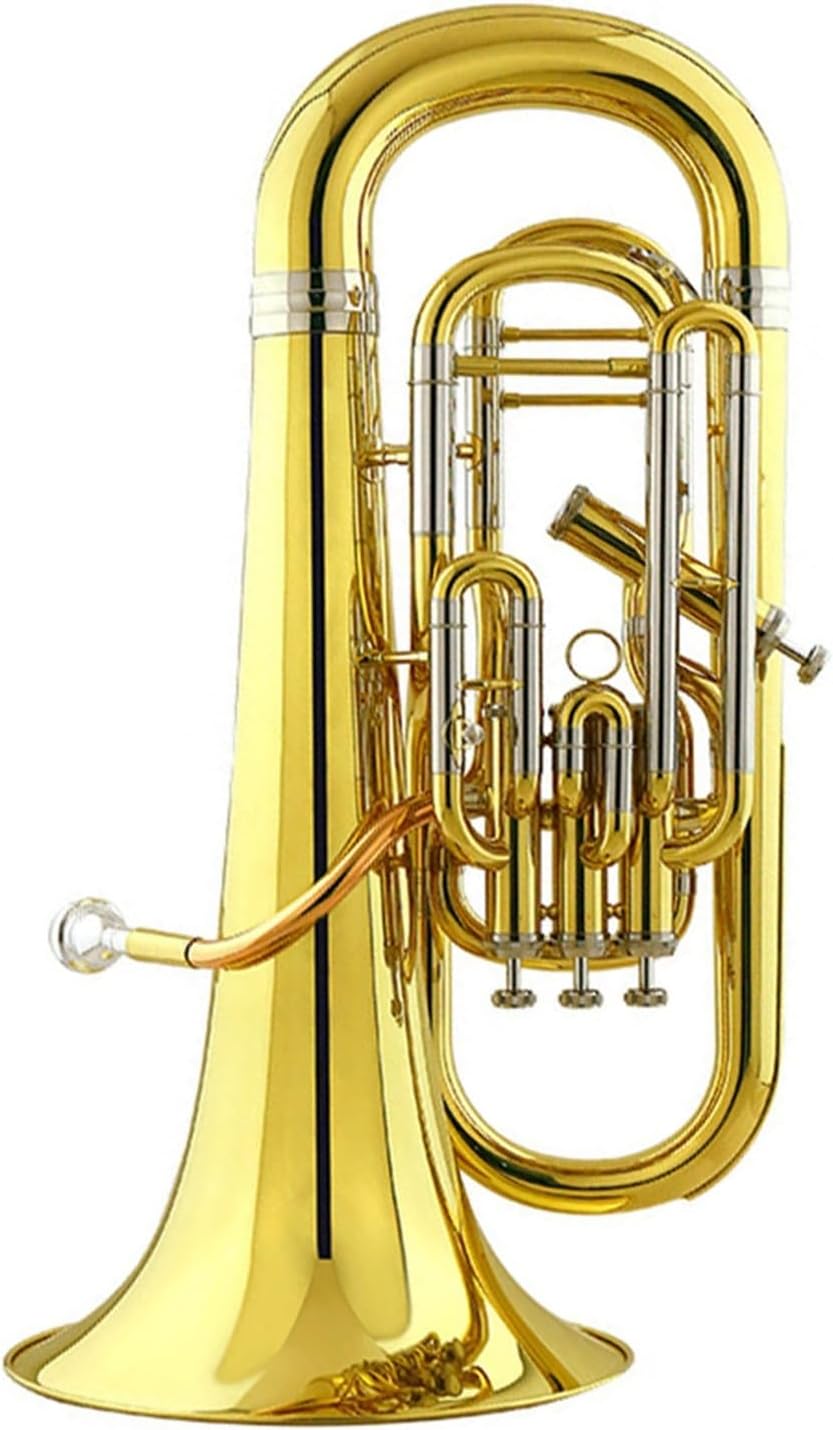 Euphonium in B flat Instrument Suitable for Beginners