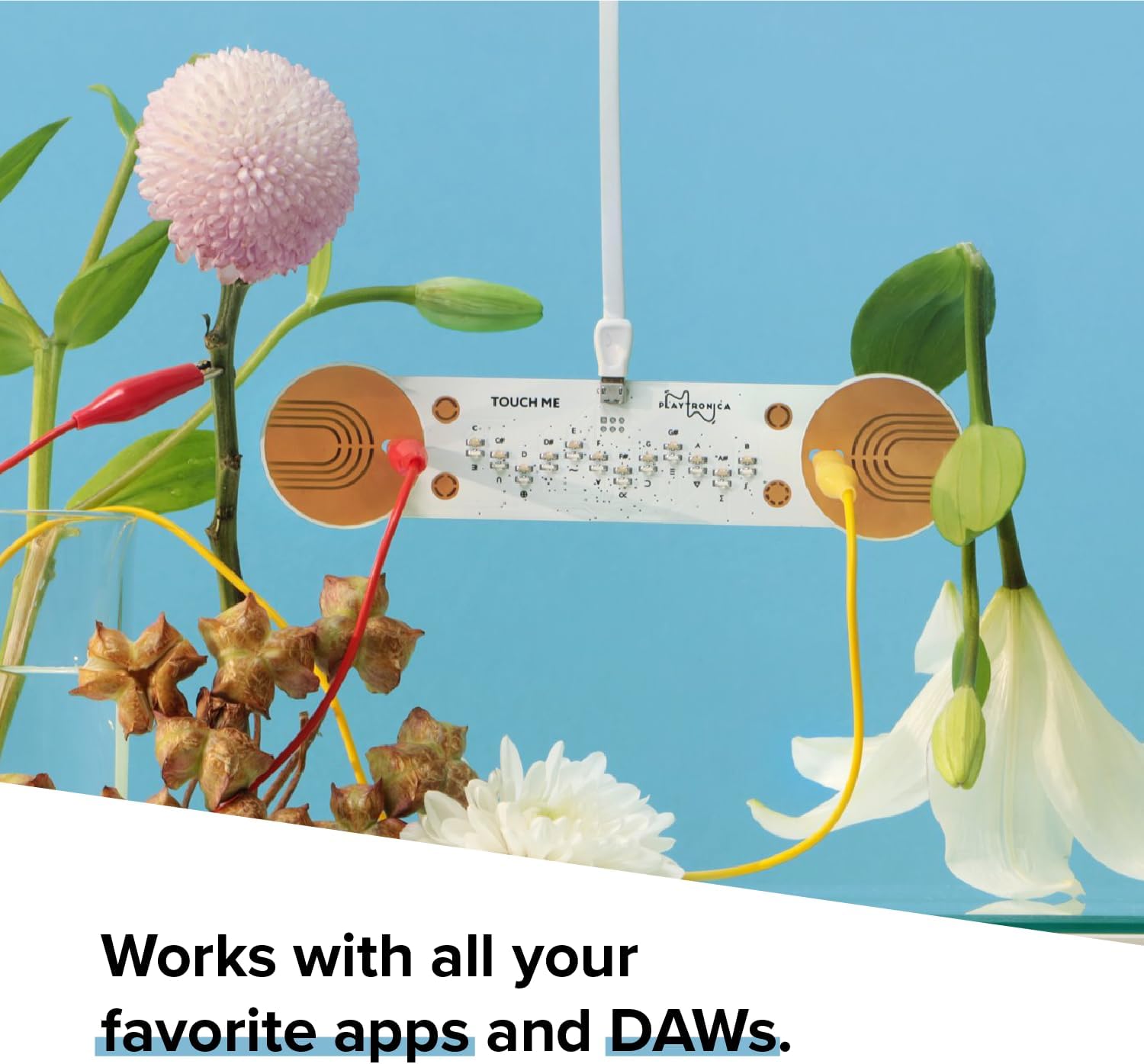 TouchMe | MIDI Controller | The musical instrument that turns skin, water, or flowers into sound | Play with friends or alone. As the area of touch and intensity changes, the sound changes too!