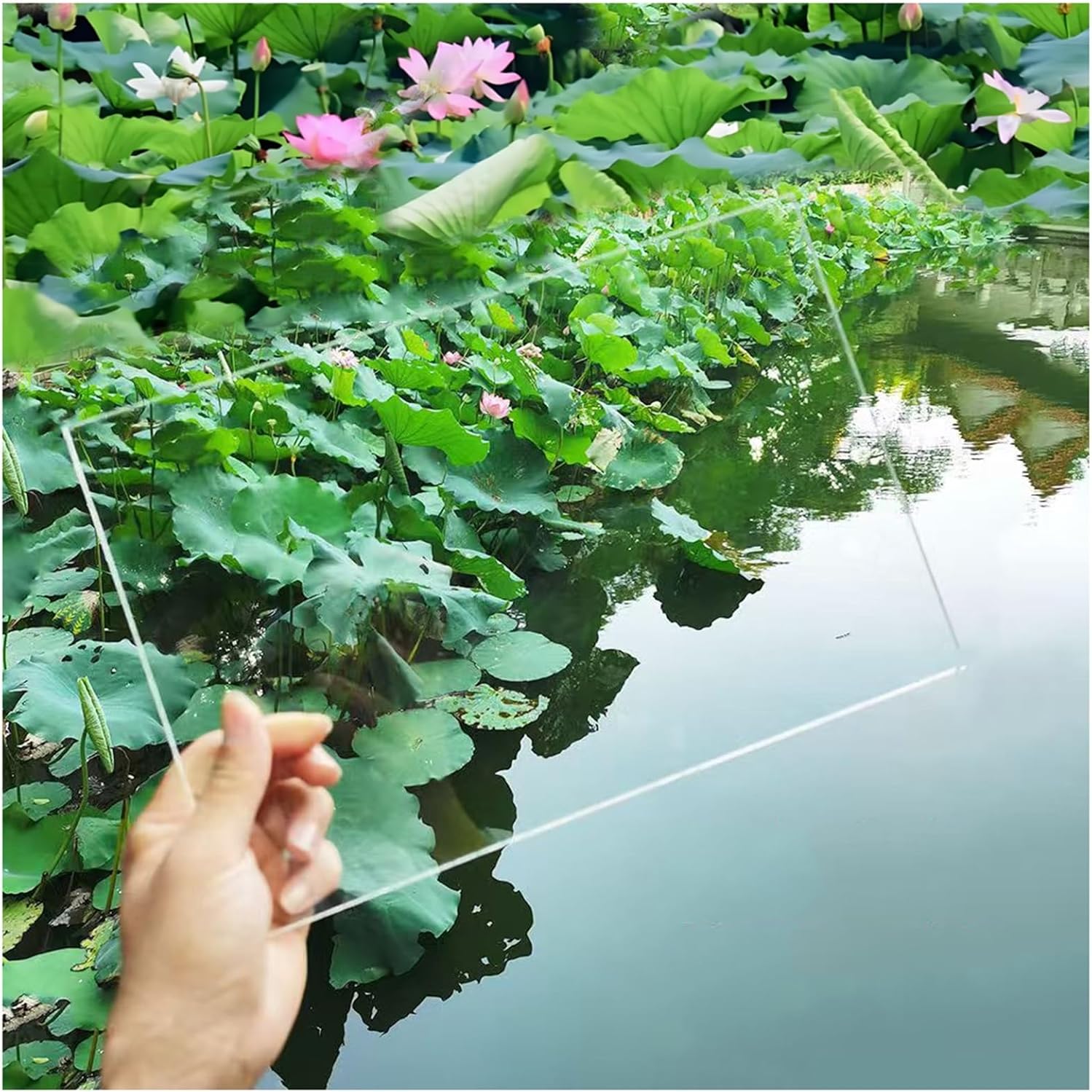 Polycarbonate sheet Roof Panels Sheets,Clear lexan Plastic Roofing Outdoor Greenhouse Rolled Garden Gazebo Covering Waterproof UV Protected Impact Resistance Weather Resistant(Clear,L300xW120xT0.1cm)