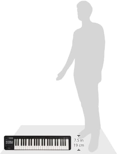 Roland Lightweight 49-Key MIDI Keyboard Controller, black (A-49-BK)