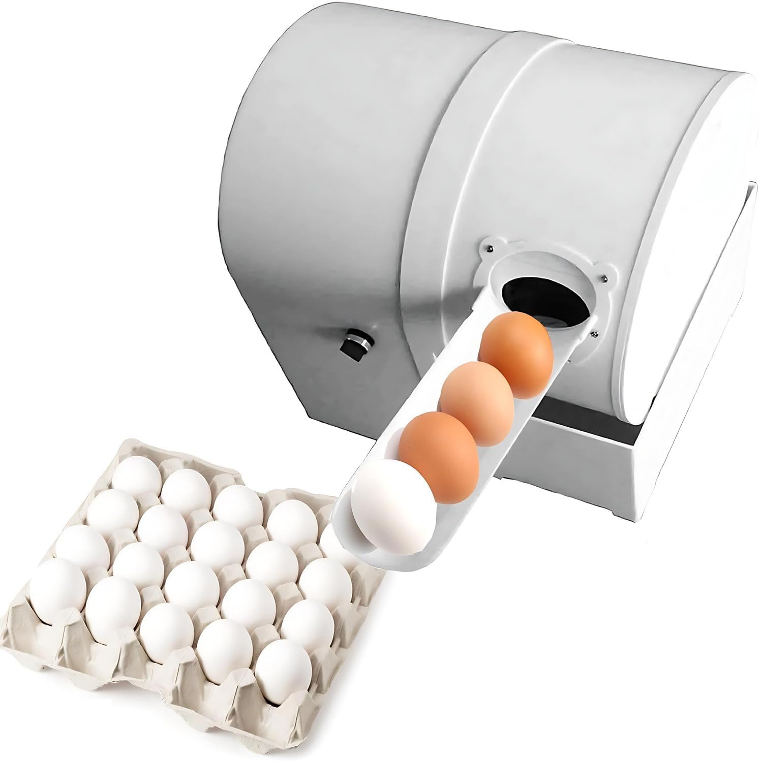 Electric Egg Washer Machine, Automatic Egg Washer, Commercial Egg Cleaner System, 2,300 Eggs/H Suitable for Chicken, Duck & Goose Eggs, Compact Egg Cleaning Brush Machine Tool