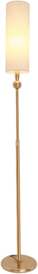 Floor Lamp Bedroom Bedside Remote Dimming LED Living Room Scandinavian Ins Vertical Table Lamp(White-Fruit peach5) (Gray 144 * 25cm)