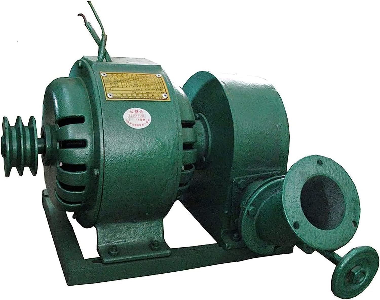 CAJUCA Hydroelectric Power Generator 1KW Water Turbine Generator Water Wheel Generator, Hydro Generator, Micro Hydro Turbine
