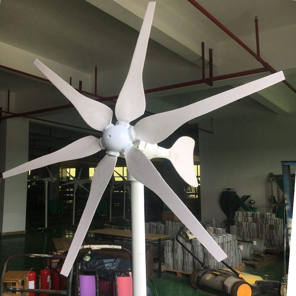 800W Horizontal 6 Blades Wind Generator Turbine 12V/24V Windmill with Charge Controller for Home Use,12v