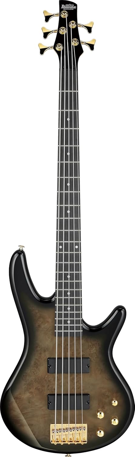 Ibanez GSR205PC GIO 5-String Bass Guitar, Purpleheart Fingerboard, Transparent Pale Black Burst
