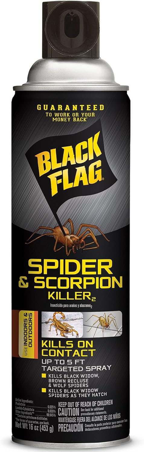 Black Flag Spider and Scorpion Killer 16 Ounces, Aerosol Insecticide Spray, 12 Pack