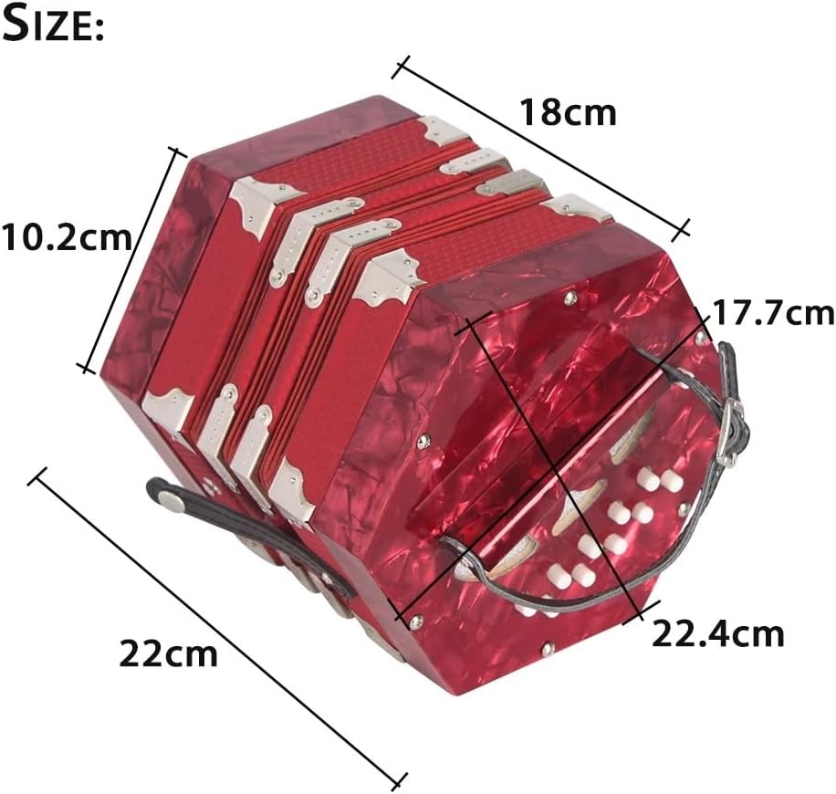 20 Keys Accordion Concertina, Easy to Learn Music Accordion Instrument, Educational Musical Instrument, for Amateur Beginner Gift, with Carry Bag